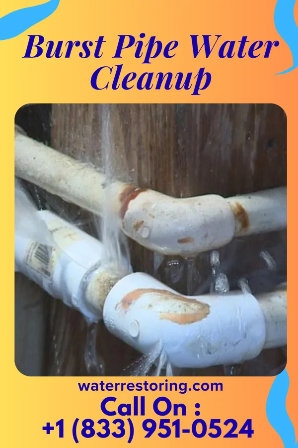 Burst Pipe Water Cleanup in Mill Hall, PA