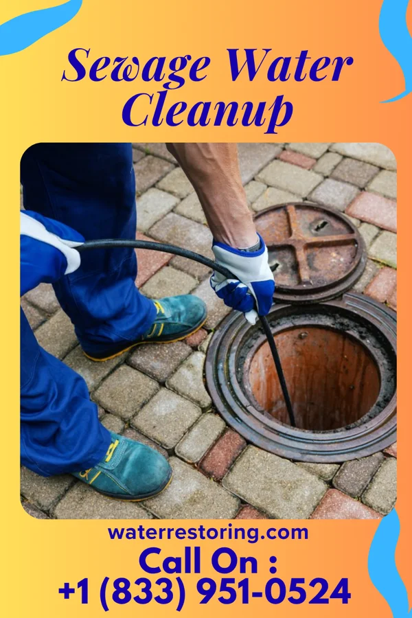 Sewage Water Cleanup in Mill Hall, PA