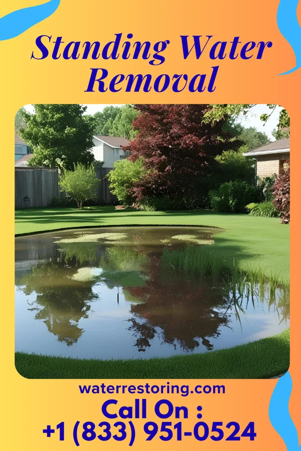 Standing Water Removal in Mill Hall, PA